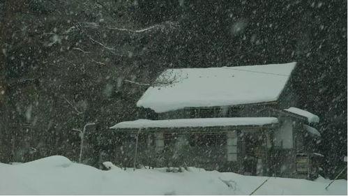 日本冬天的电影,日本冬季电影精选回顾