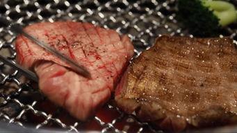 日本肉动在线,探索独特肉类文化的魅力之旅