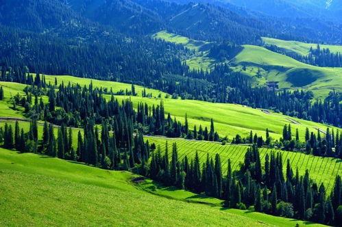 japan 69av,揭秘那个时代的激情与禁忌