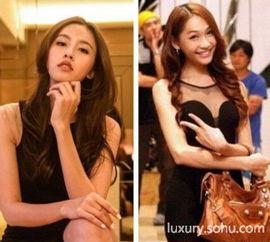 最美人妖av下载,下载背后的故事与魅力